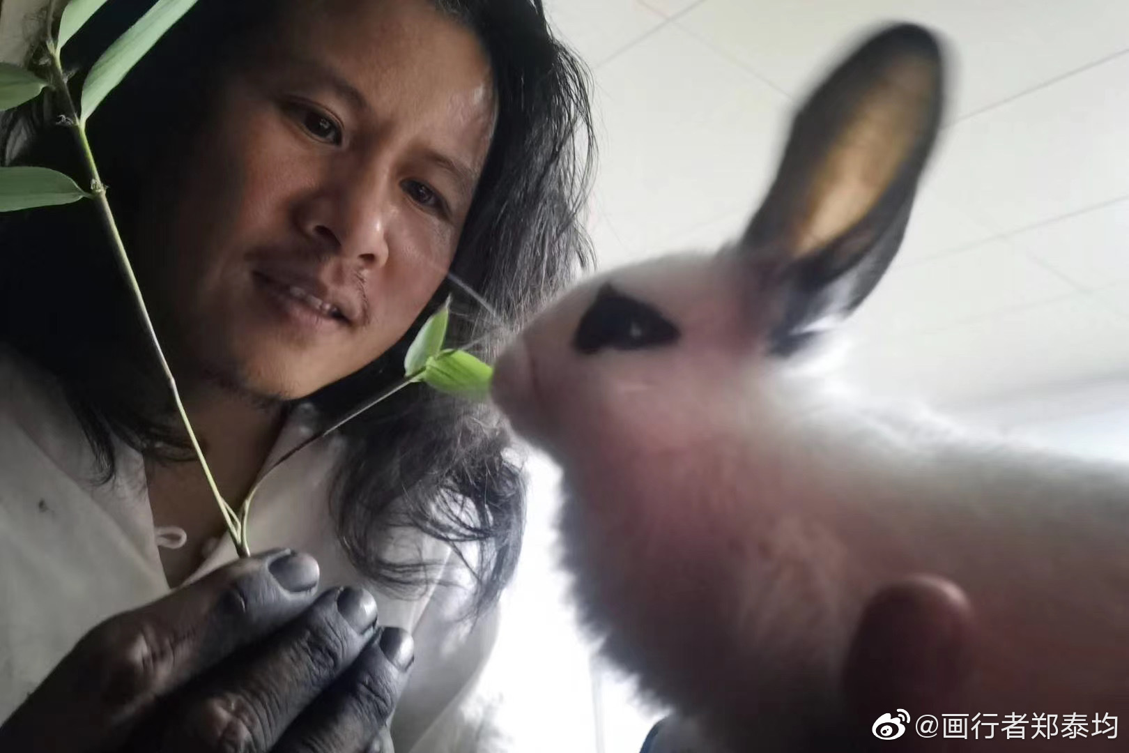 http://www.dfyhj.cn/?id=294